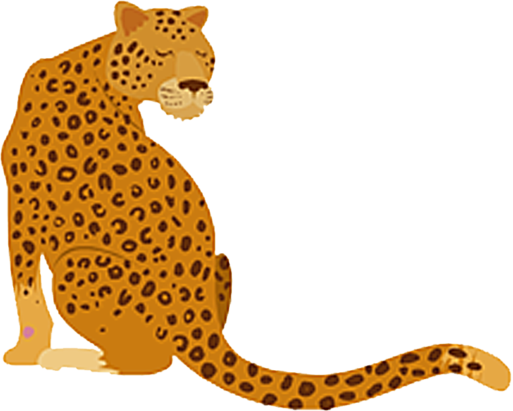 Spencer Elementary - Idiom A Leopard Can T Change Its Spots (800x643)