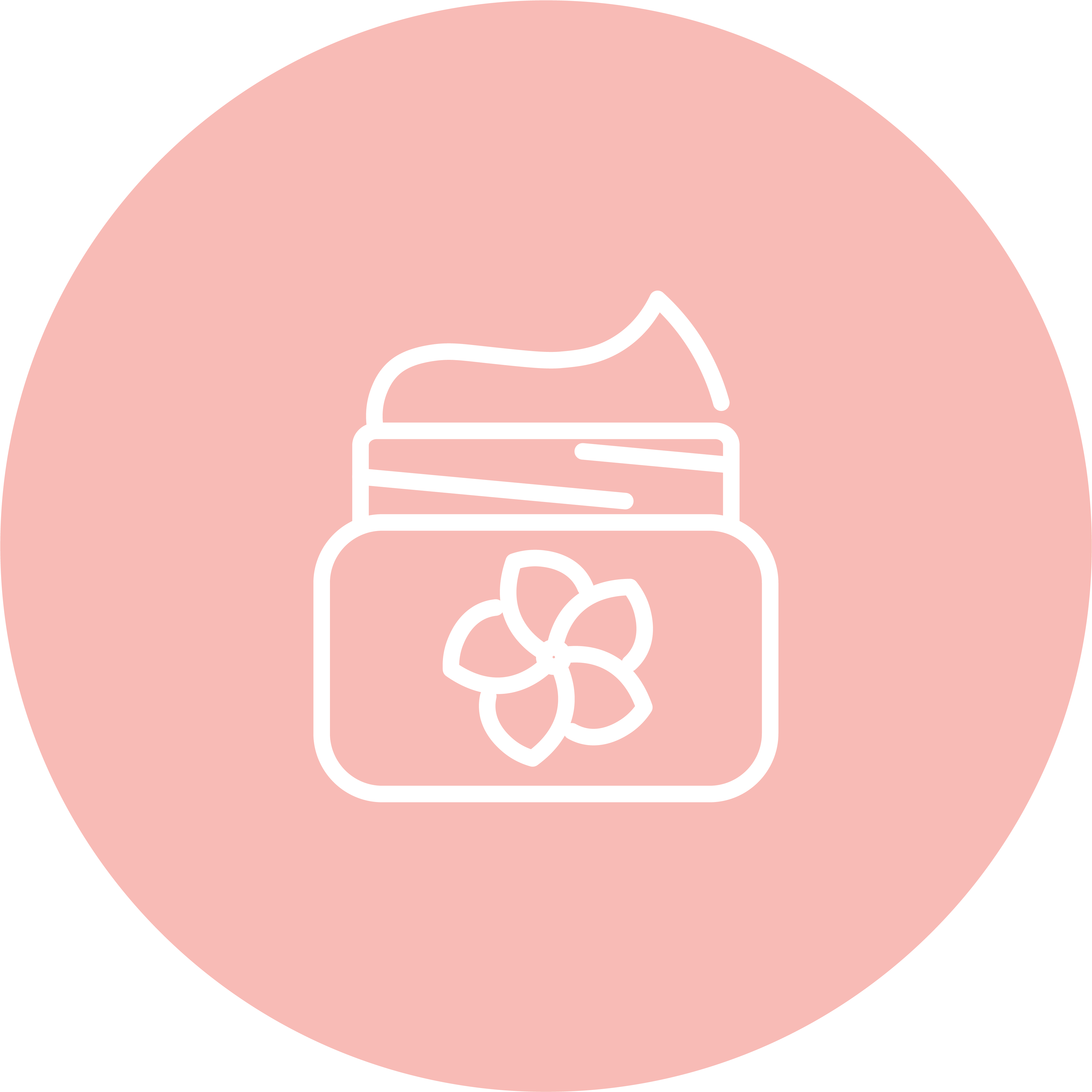 Natural Mineral Pigments - Black Circle (4168x4168)