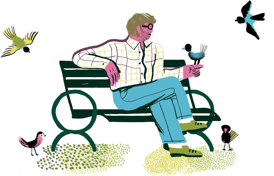 'climate Change Isn't Only Reason For Bird Decline' - Sitting (1300x674)