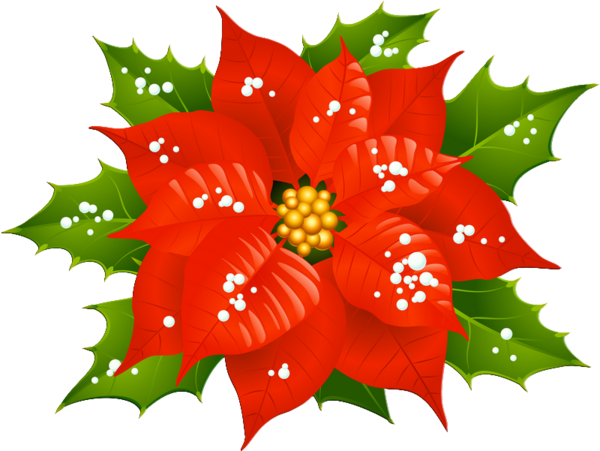 Tubes Noel Divers Christmas And New Year, Christmas - Christmas Flower Donations (600x451)