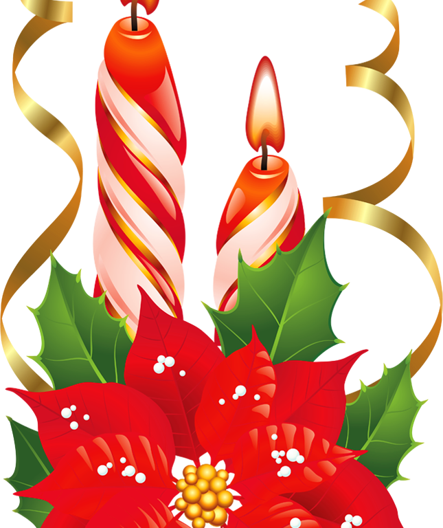 Download Free Clip Art Christmas - Christmas Poinsettia Png (645x768)