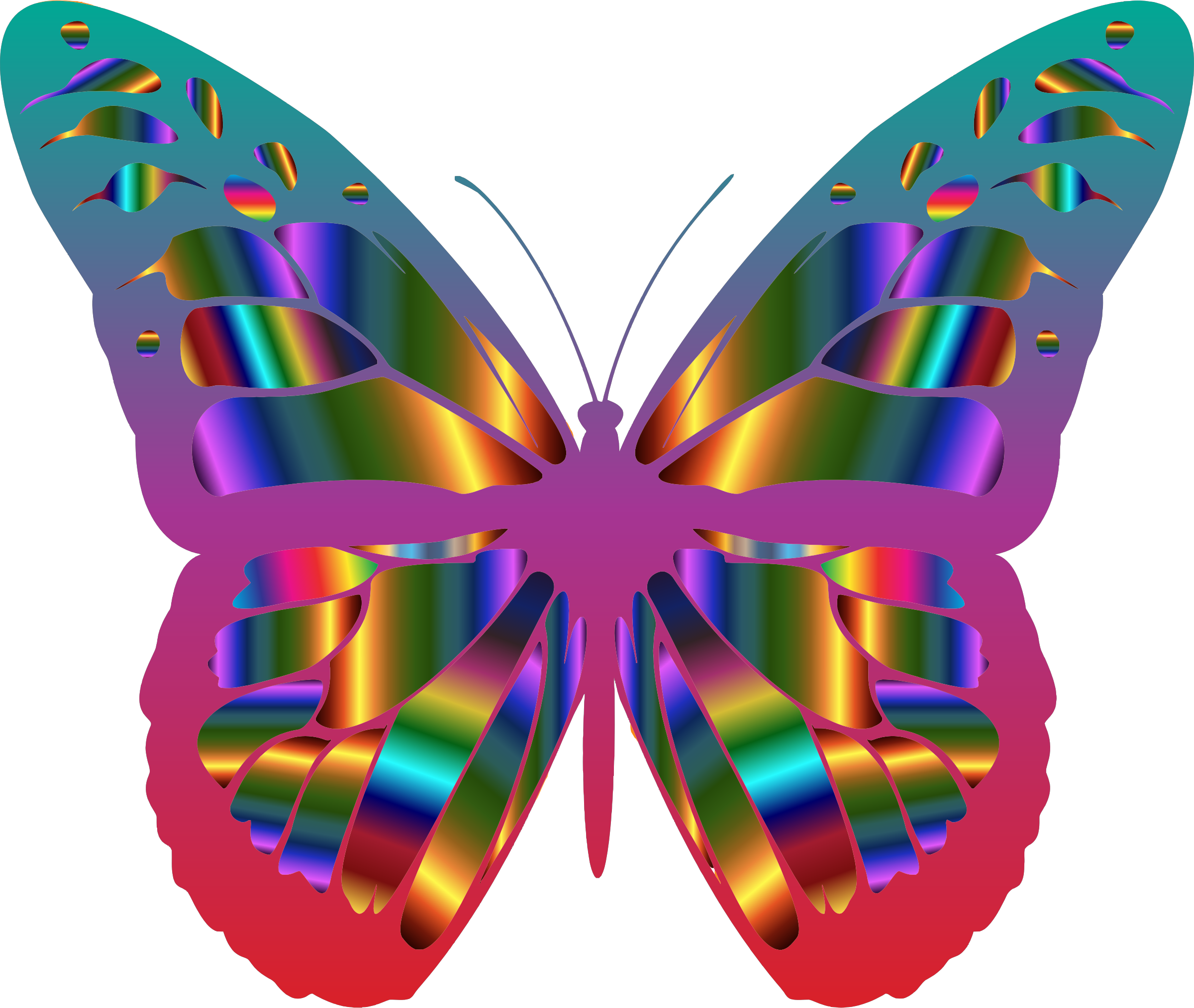 Big Image - Beautiful Butterfly Clip Art (2400x2028)