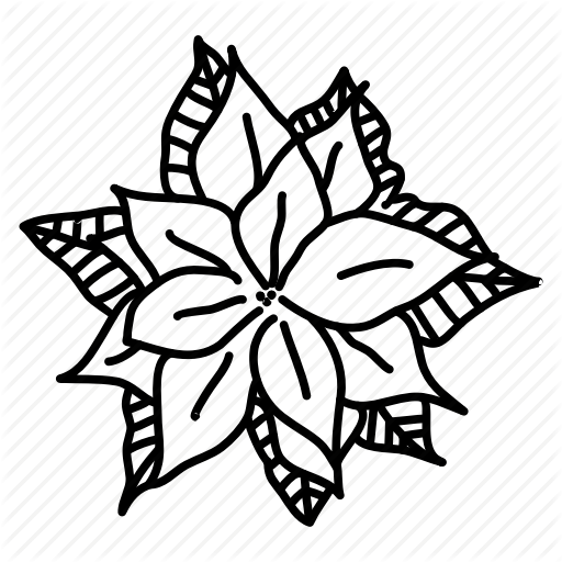 Christmas Flower Holiday Noel - Poinsettia Drawing Png (512x512)