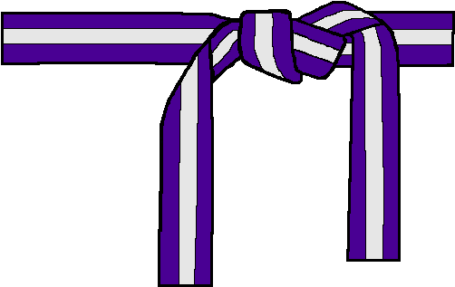 Purple Belt W/ White Stripe - Green White Stripe Belt (512x320)