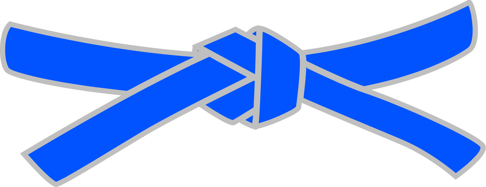 Blue Belt - Taekwondo Black Belt Png (2000x772)