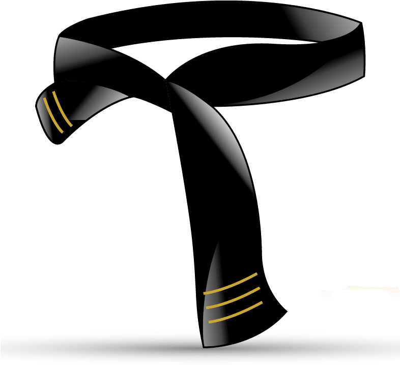 What Belt Am I In Business - What Belt Am I In Business (785x763)