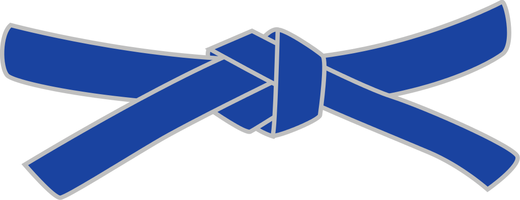 He Learned Brazilian Jiu Jitsu In Indonesia From Niko - Taekwondo Black Belt Png (1024x395)