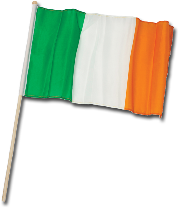 Ireland Flag Clipart Transparent - Irish Flag On Pole Png (800x800)