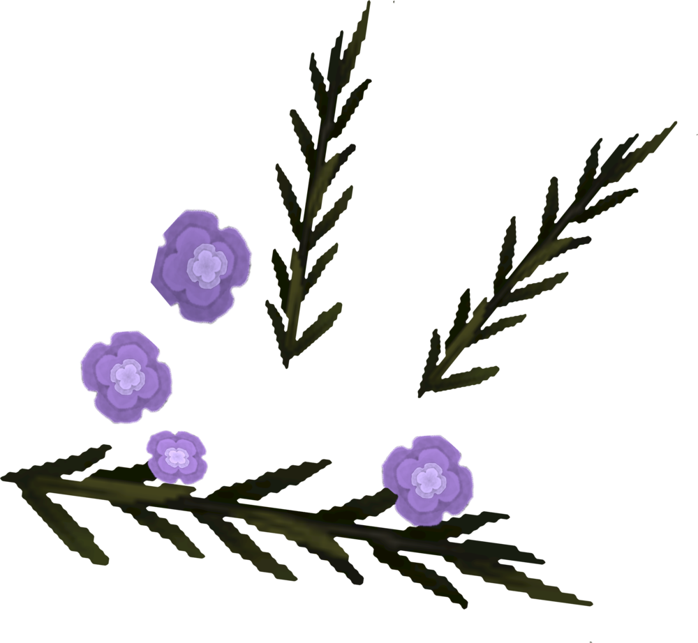 Lavender Clipart Heather - Illustration (1000x922)
