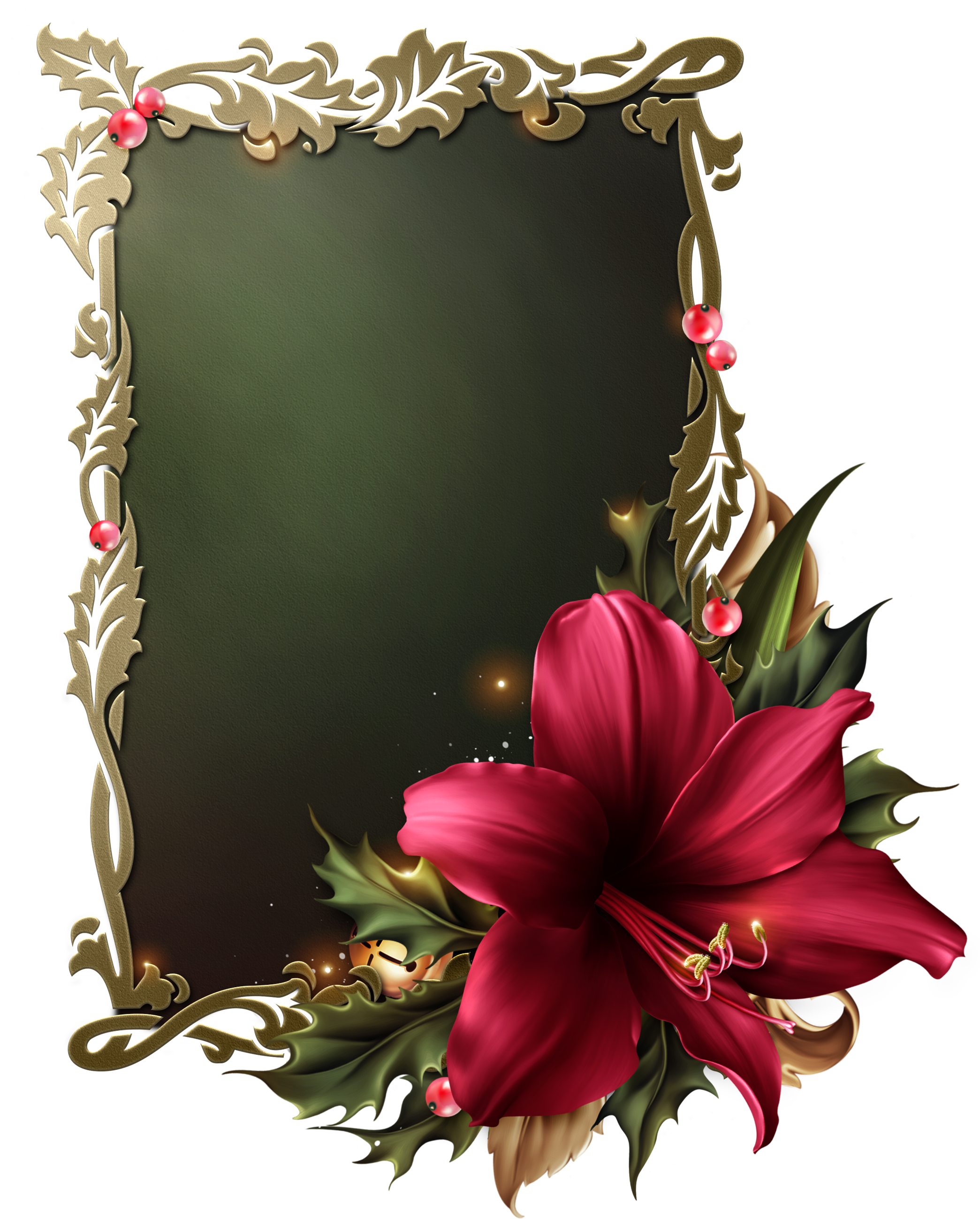 Festive Amarylis - Romantic Orchids Moonbeam 1212 Elements Png (2116x2628)