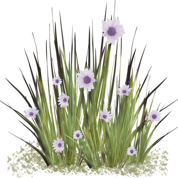 Clip Art, Florals, Illustrations - Crocus (600x600)