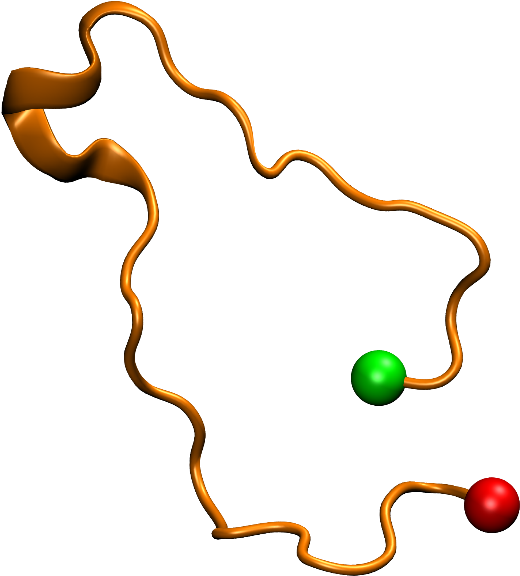 Figure 1 - - Secondary Structure Of Protein Random Coil (542x600)