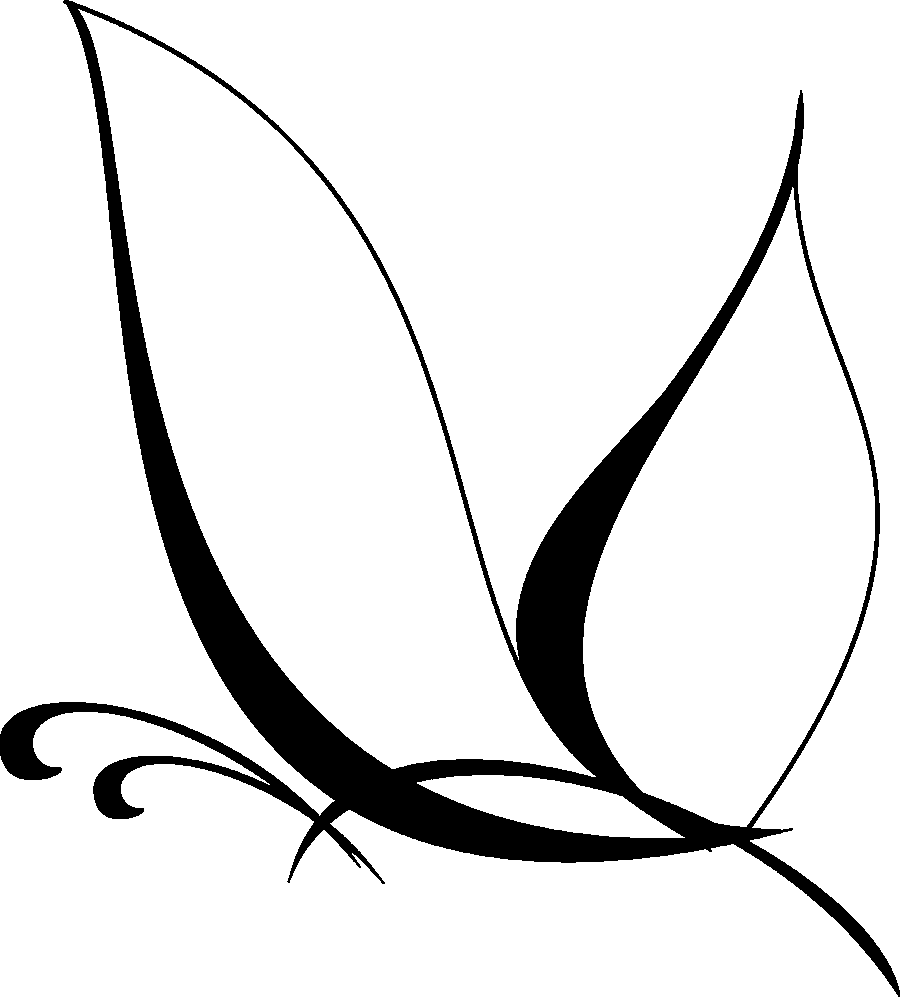 Butterfly Vector Png (900x997)