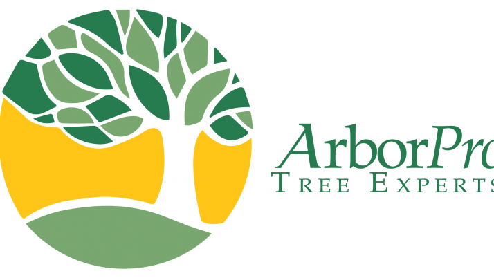 The Christmas Tree Shortage Of 2017 Is Long Gone - Tree Company (714x402)