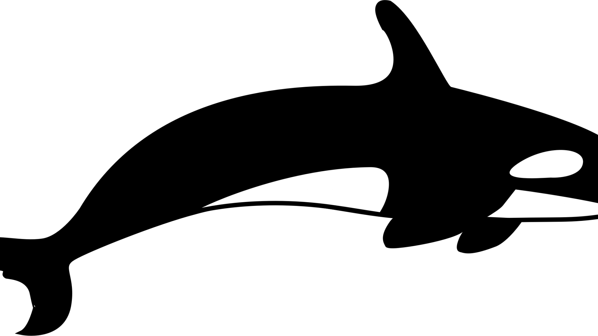 Frightening Shamu Clipart Whale Common Bottlenose Dolphin - German Shepherd Running Silhouette (1920x1080)