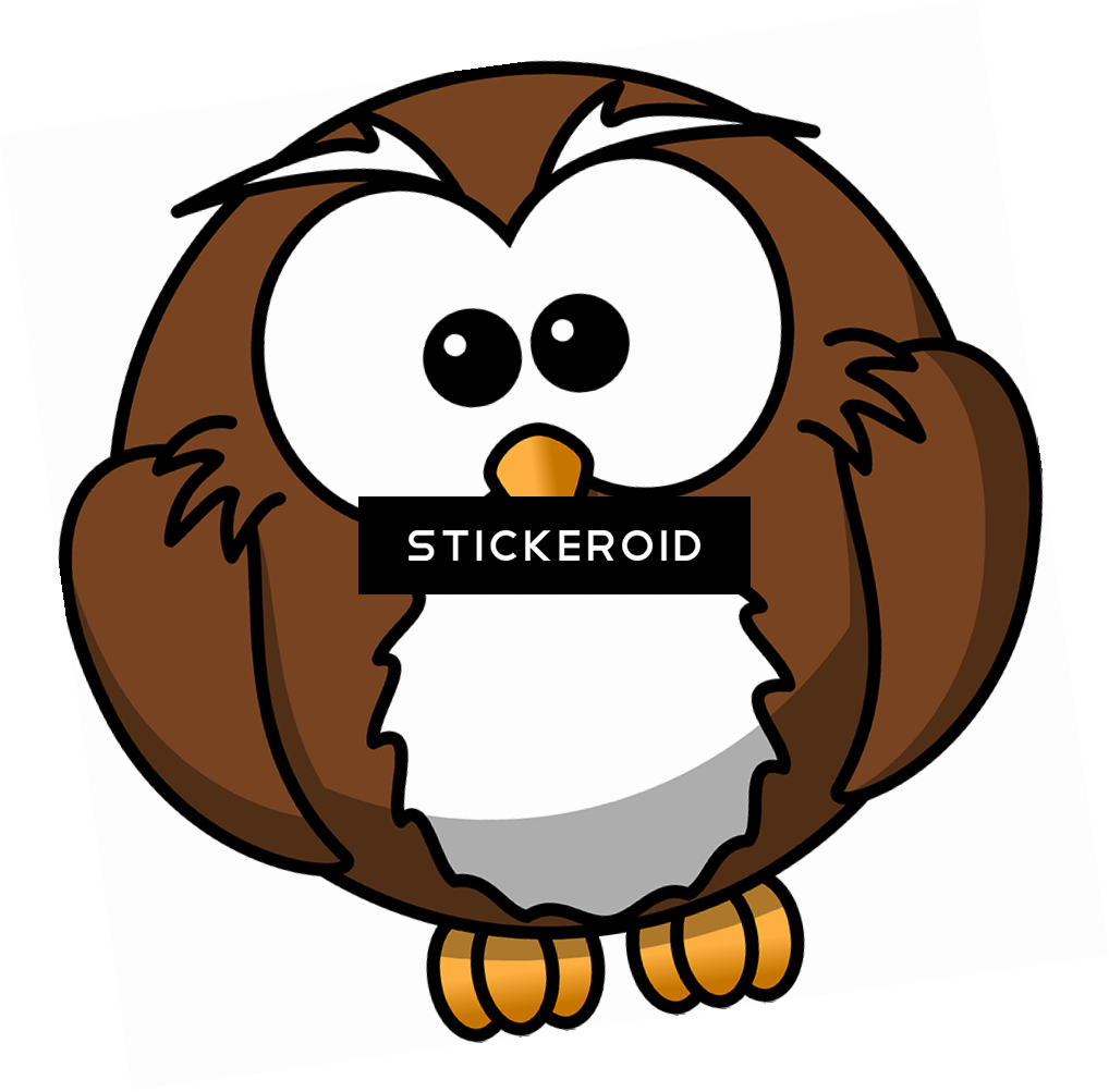 Owl Animals Owls - Owl Cartoon Transparent Background (1018x1003)