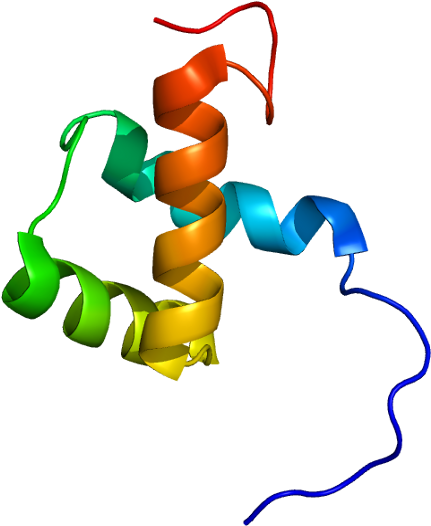 Turning On The Cellular Regulator Zeb-1 In Dormant - Zeb1 Protein (480x575)