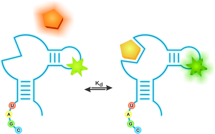 And The Development Of Modern Methods In Quantum Optics - And The Development Of Modern Methods In Quantum Optics (750x750)