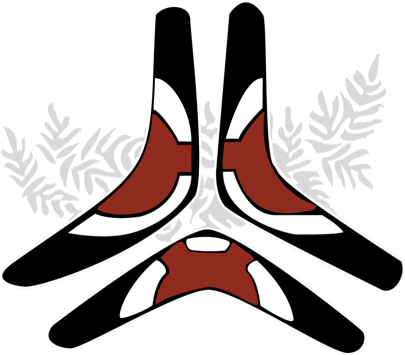 Australasian Cleft Lip & Palate Association Inc - Illustration (800x702)