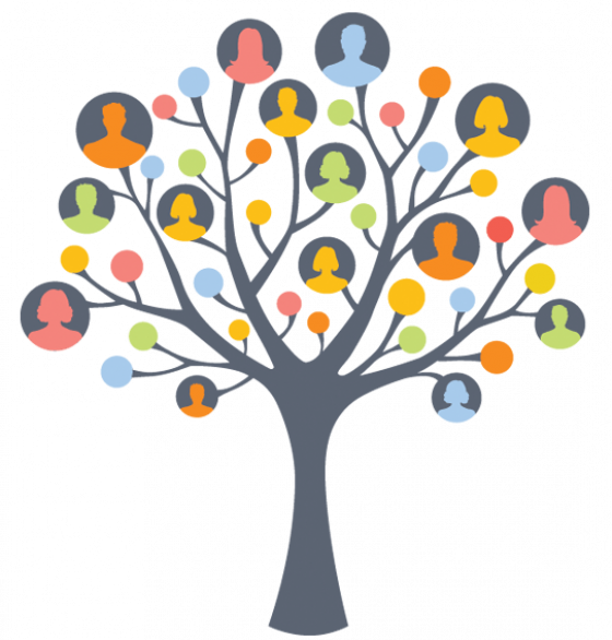 Ancestor Branches And Course Costs - Network Tree (560x586)