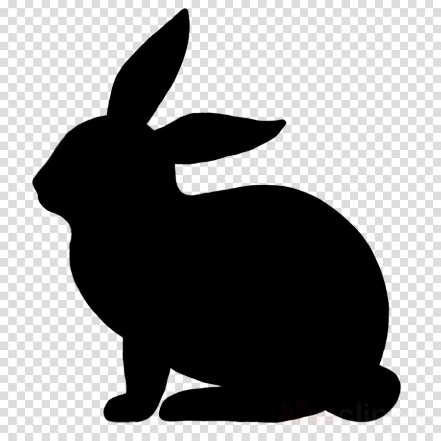 Black Icon Rabbit Clipart Easter Bunny Domestic Rabbit - Asteroid With No Background (900x900)