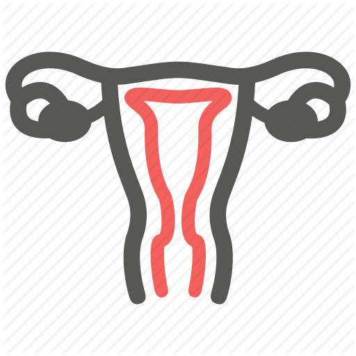 Jpg Library Library Care Glyph By Minh Do Genital Gynecology - Genital Icon (512x512)