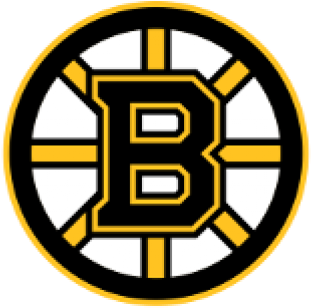 February 1-march - Boston Bruins Nhl Logo (600x327)