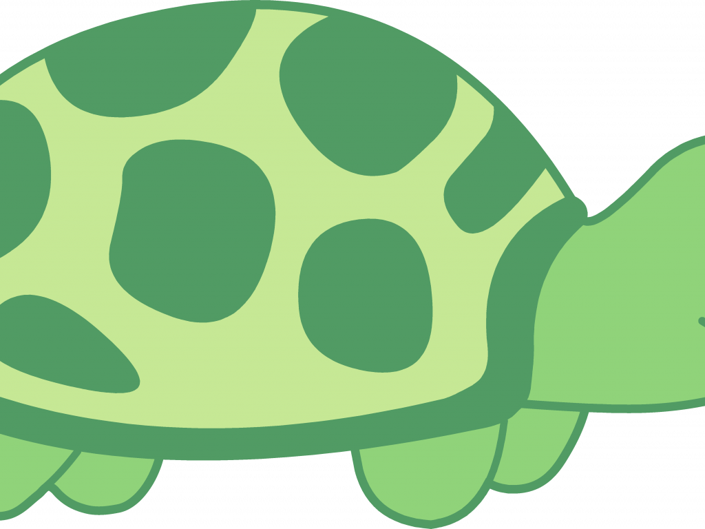 Download Turtle Images Clip Art - Turtle Clip Art Png (1024x768)
