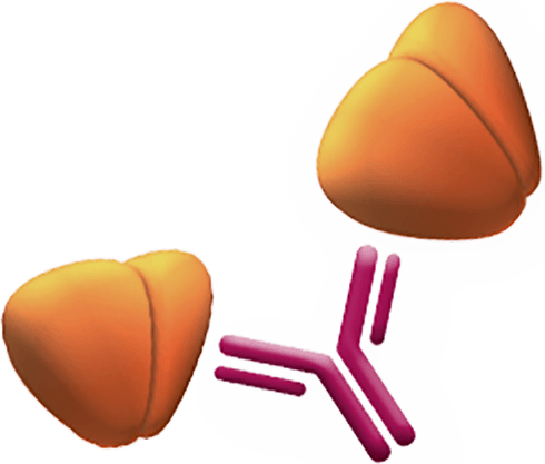 Find Information On How Humira Works In The Body - Find Information On How Humira Works In The Body (490x417)