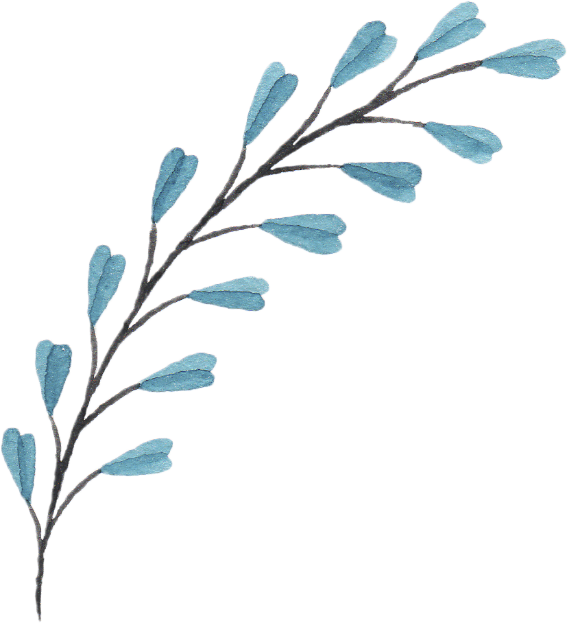 Flower Bouquet Png Free - Branch With Flowers Drawing (1024x1024)