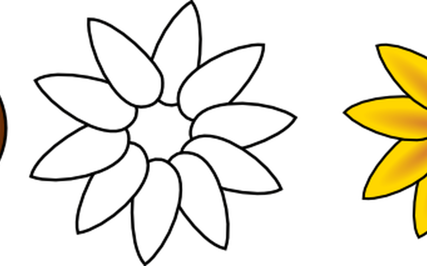 Sunflower Petals Clipart Outline Clipground - Easy To Draw Sunflowers (1368x855)