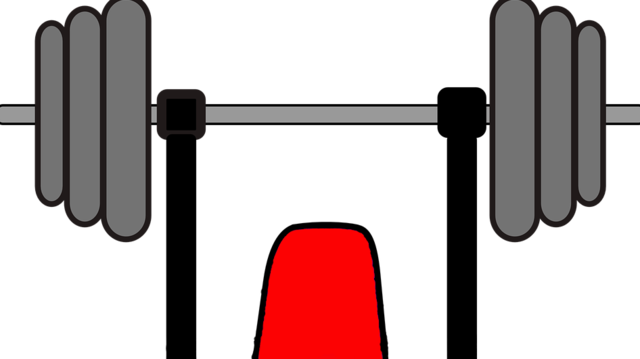 Exercise Bench Clipart Tumblr Transparent - Png Musculação Desenho (640x359)