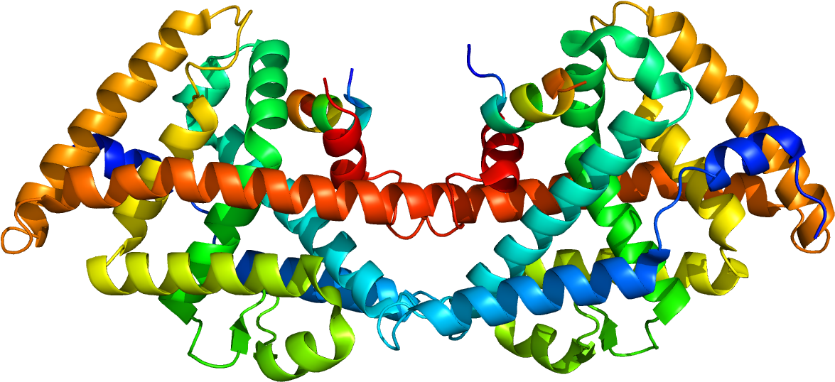 Protein Heterodimer (1200x1000)