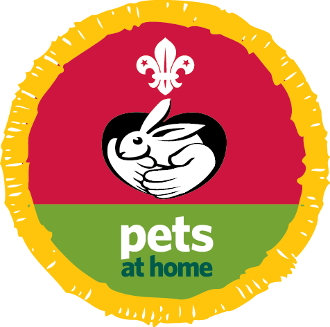 Cubs Road Safety Badge (476x473)