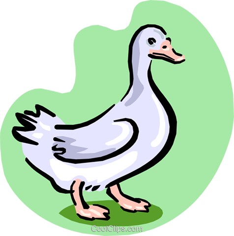 White Goose Royalty Free Vector Clip Art Illustration - Goose Animated (476x480)