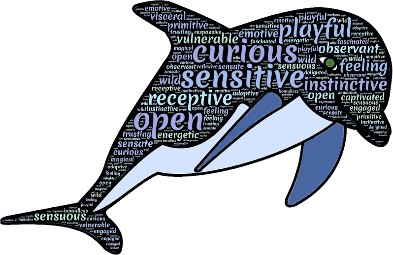 Dolphines Clipart Dolphin Word - Dolphin Typography (798x518)