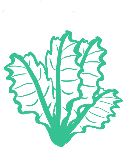 And - Kale Silhouette Png (550x733)