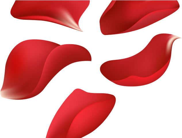 Flowers Vectors Clipart Lip - Rose Petal Transparent Background (640x480)