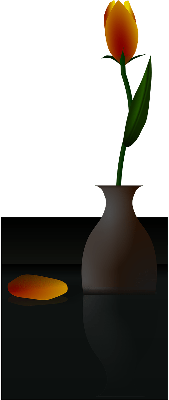Flower Vase Black Background (640x1280)