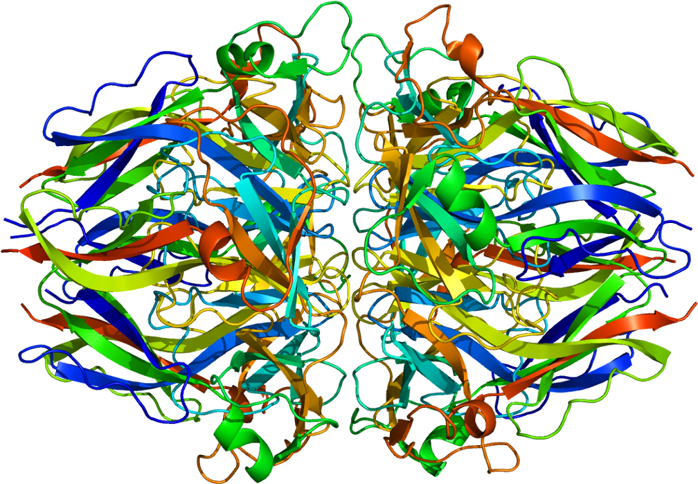 Molecula De Colageno 3d (1057x748)