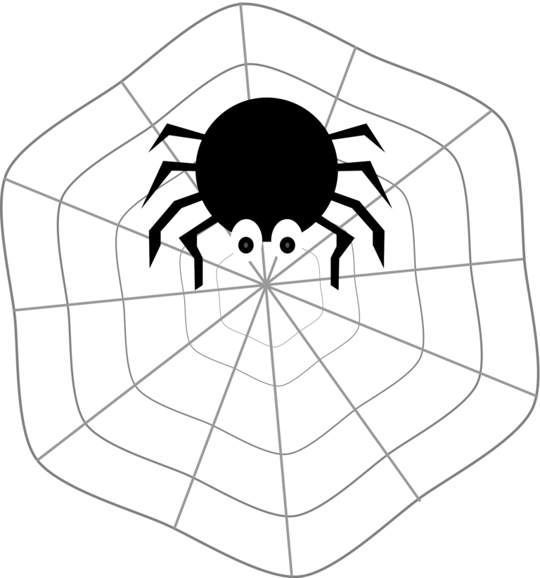 Spider On Web Clipart (768x823)