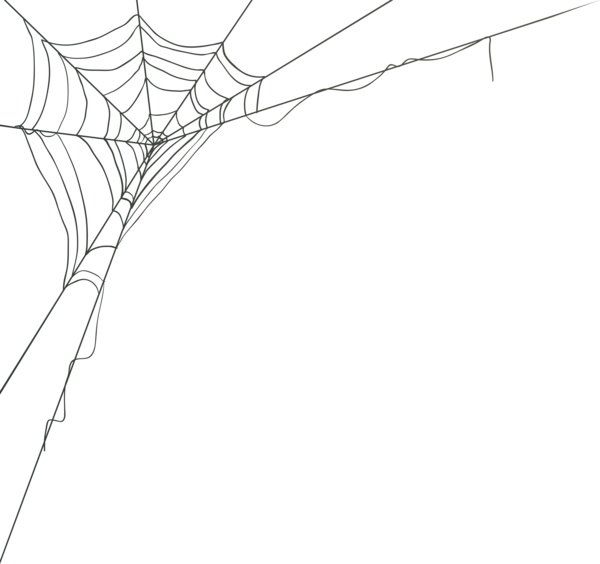 0, - Cartoon Spider Web Png - (600x564) Png Clipart Download