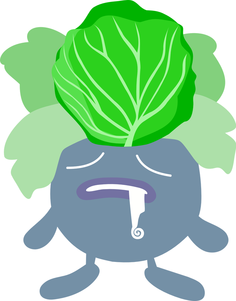 Cabbage By Jaybugjimmies - Illustration (792x1009)