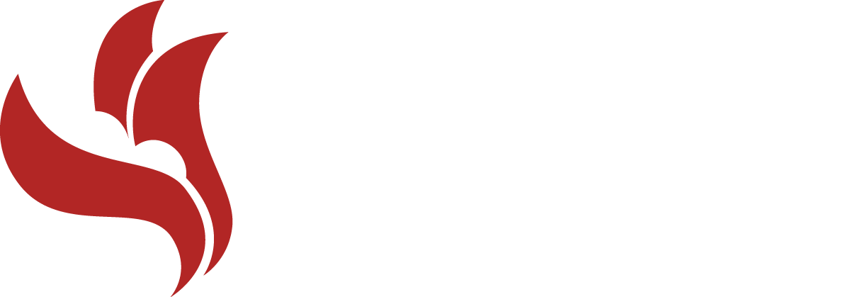 Health Logo White Png (1200x419)