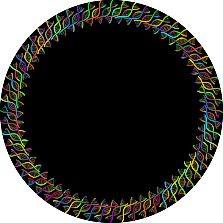 All Photo Png Clipart - Circulo Cromatico De 24 Colores (750x750)