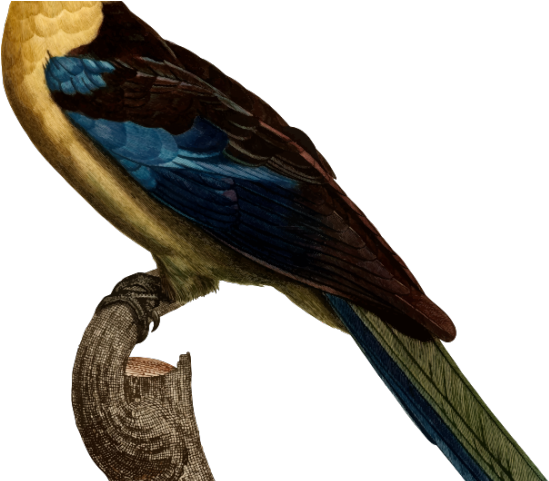 Kiss Clipart Affection - Vaux S Swift (640x480)