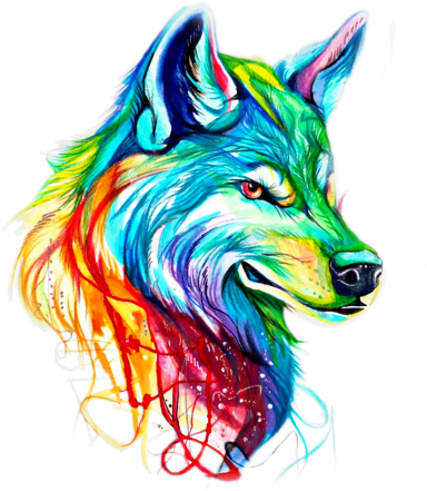 Cool Wolf Drawings With Color (480x480)