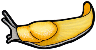 California Banana Slug By Hyaenija On Deviantart - California Banana Slug By Hyaenija On Deviantart (350x350)