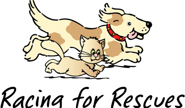 “racing For Rescues” Registration Is Now Open - Dog Walking (710x375)