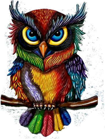 Colorful Owl Painting (480x480)